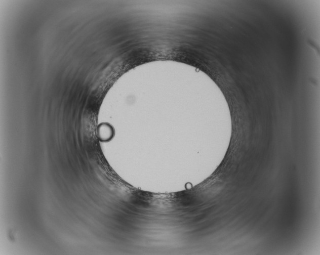 X0000103940240200810311533