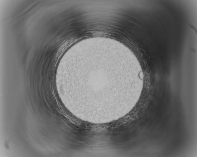 X0000103940241200810311532