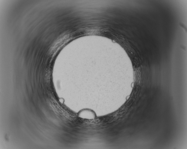 X0000103940243200810311532