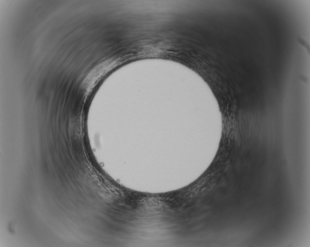 X0000103940244200810311532