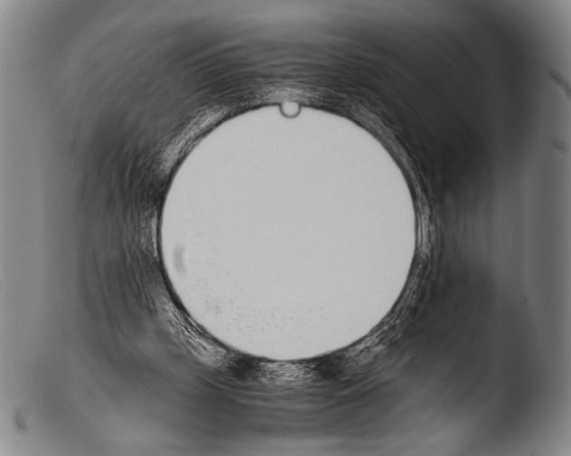 X0000103940249200810311532