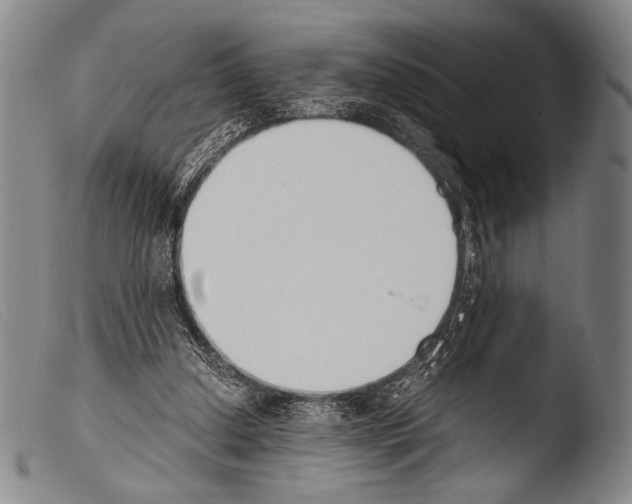 X0000103940250200810311532