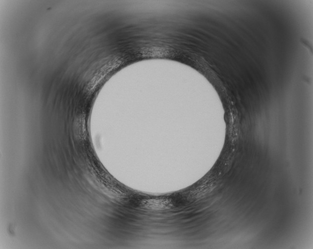 X0000103940251200810311532