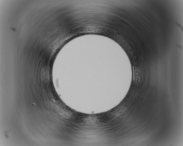 X0000103940252200810311532