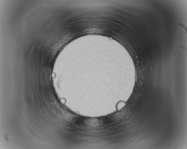 X0000103940253200810311532