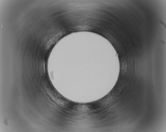 X0000103940254200810311532