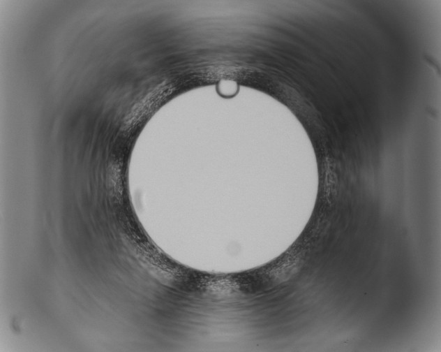 X0000103940258200810311532