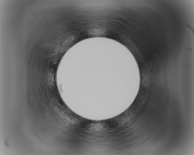 X0000103940259200810311532