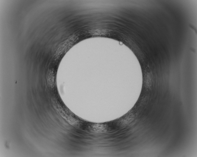 X0000103940261200810311532