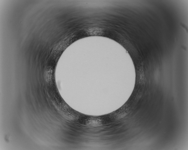 X0000103940263200810311532