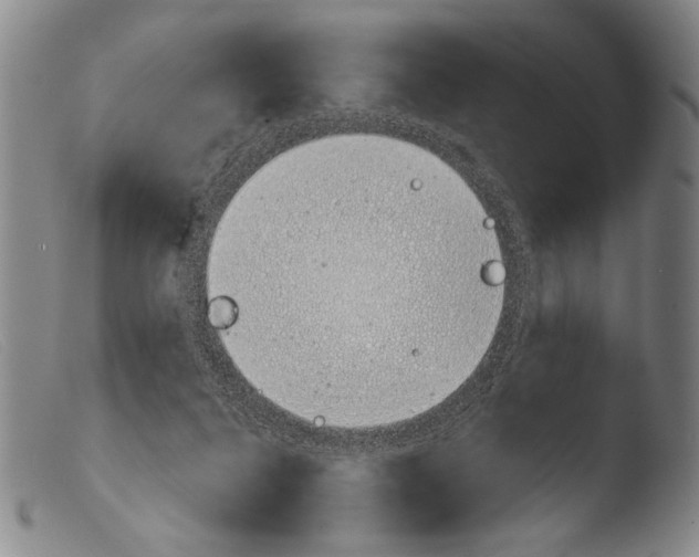 X0000103940264200810311532