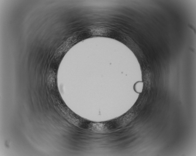 X0000103940265200810311532