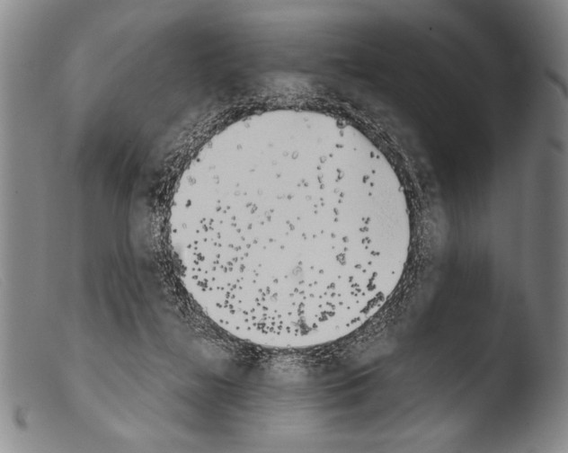 X0000103940268200810311532