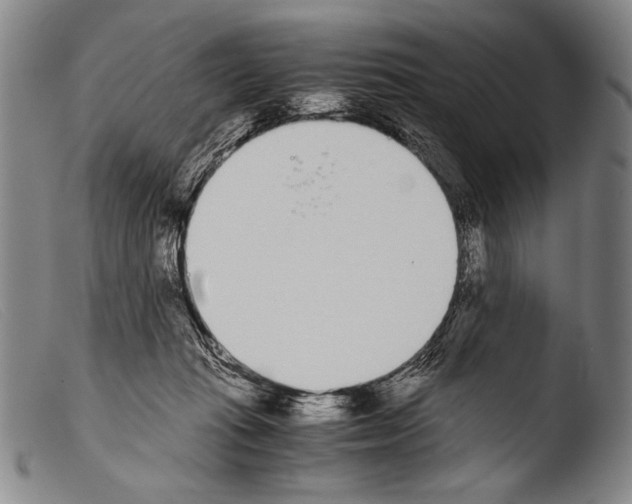 X0000103940269200810311532