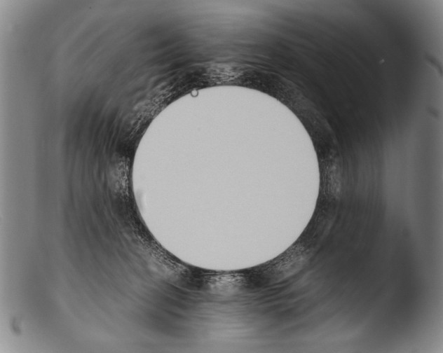 X0000103940274200810311532