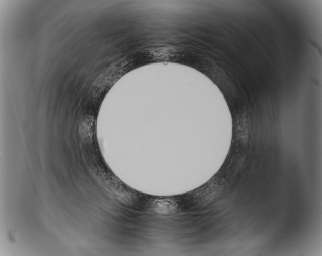 X0000103940275200810311532