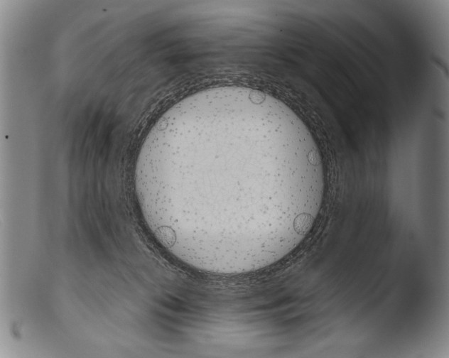 X0000103940276200810311532