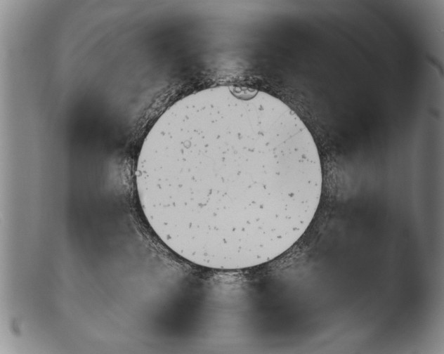 X0000103940280200810311532