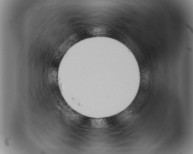 X0000103940281200810311532