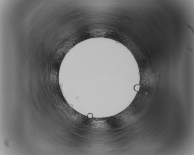 X0000103940283200810311533