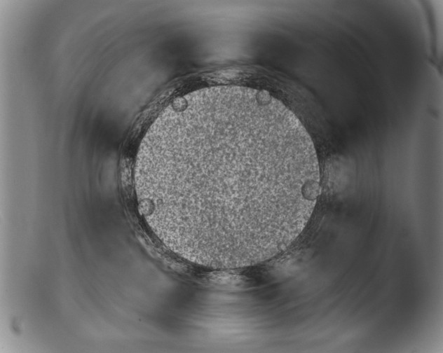 X0000103940284200810311533