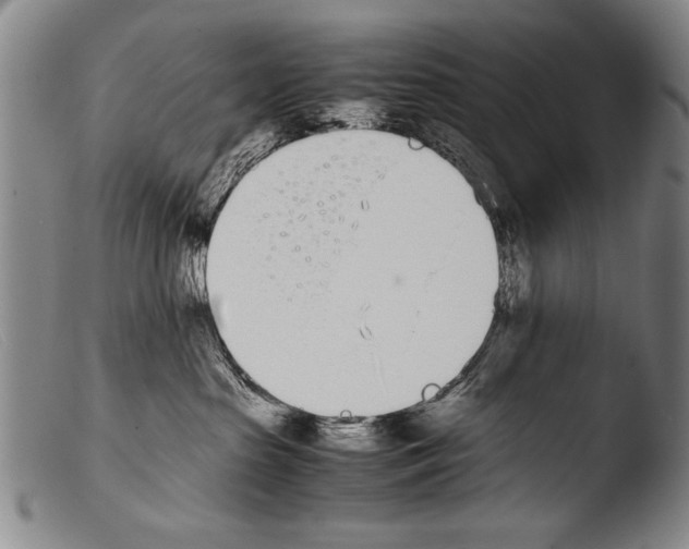 X0000103940285200810311533