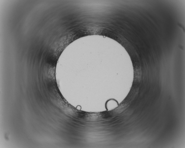 X0000103940286200810311533