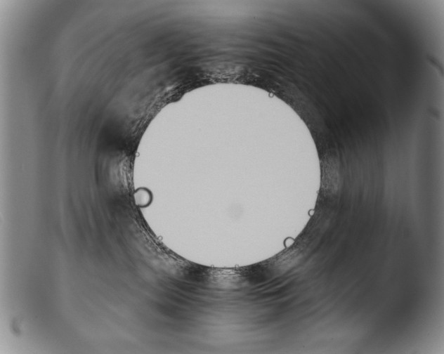 X0000103940287200810311533