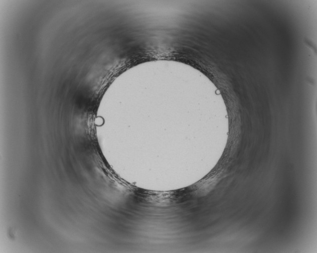 X0000103940288200810311533