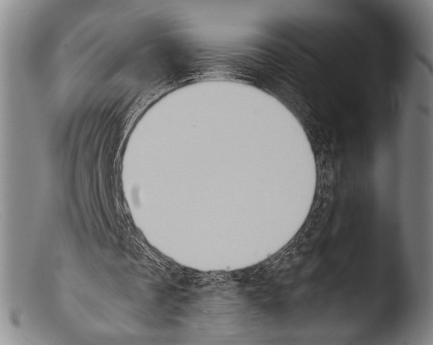 X0000103940289200810311532