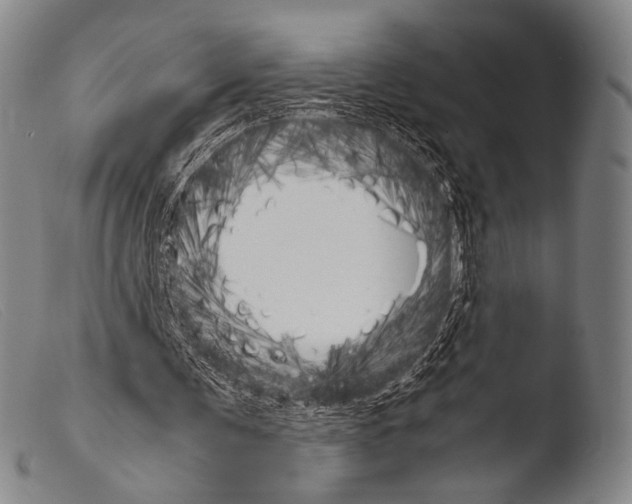 X0000103940291200810311532