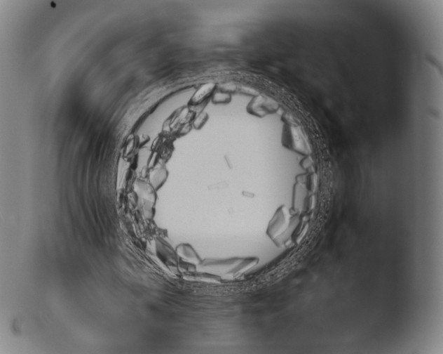 X0000103940292200810311532