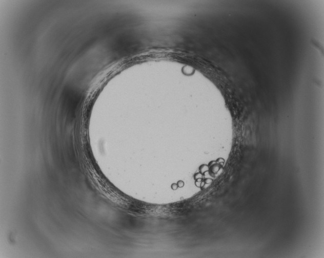 X0000103940293200810311532