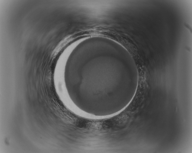 X0000103940295200810311532