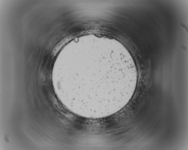 X0000103940297200810311532