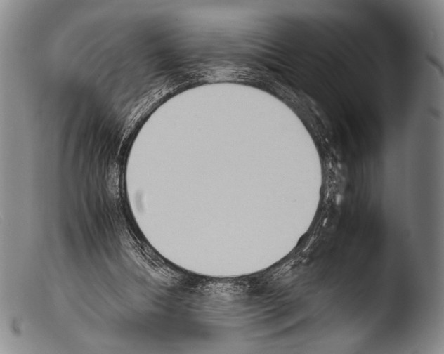 X0000103940298200810311532