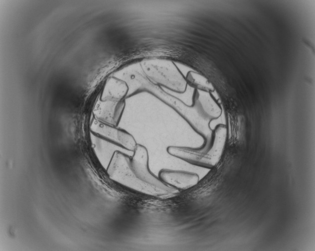 X0000103940300200810311532