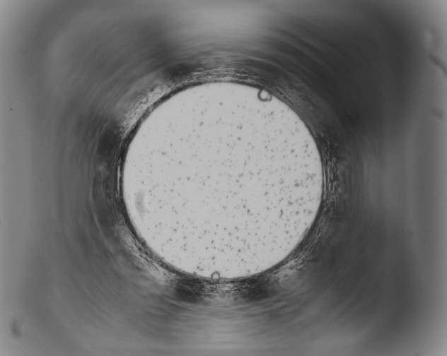 X0000103940301200810311532