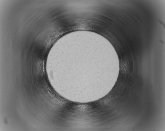 X0000103940302200810311532