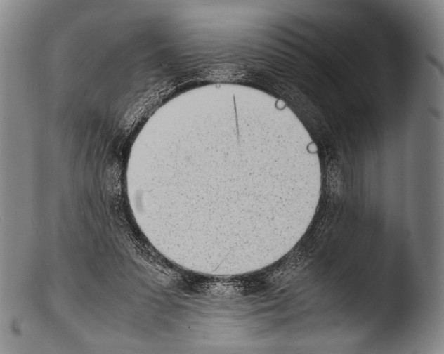 X0000103940303200810311532