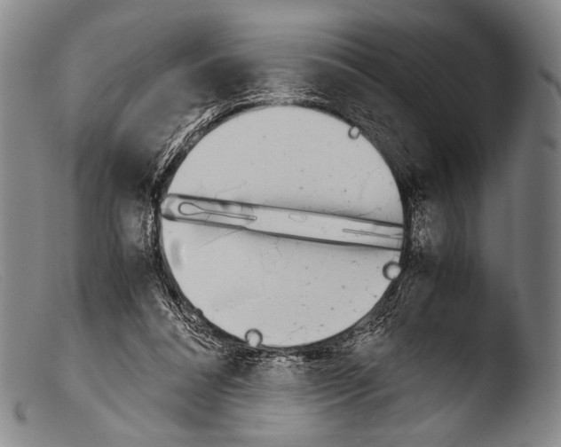 X0000103940304200810311532