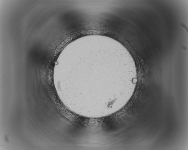 X0000103940305200810311532