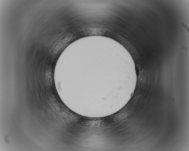 X0000103940306200810311531