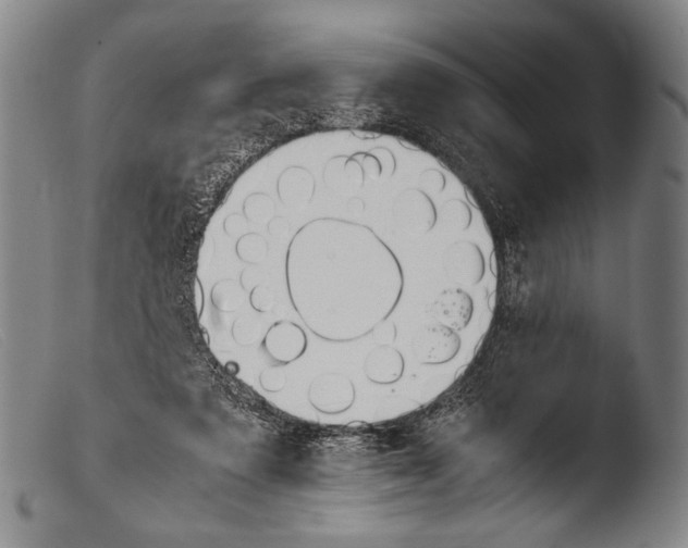 X0000103940307200810311531