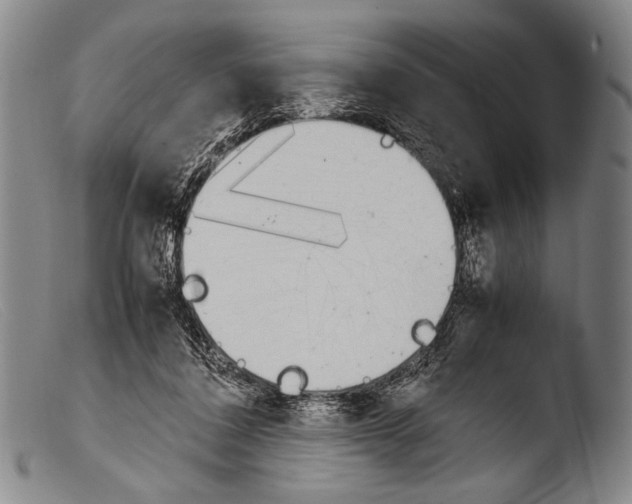 X0000103940308200810311531