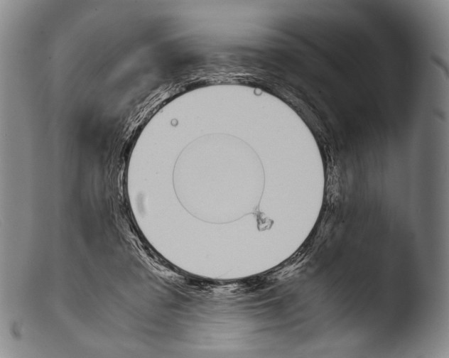 X0000103940309200810311531