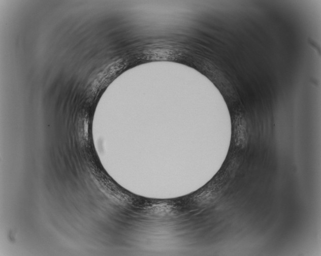 X0000103940310200810311531