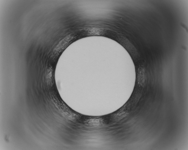 X0000103940314200810311531