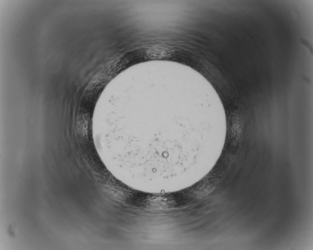 X0000103940315200810311531