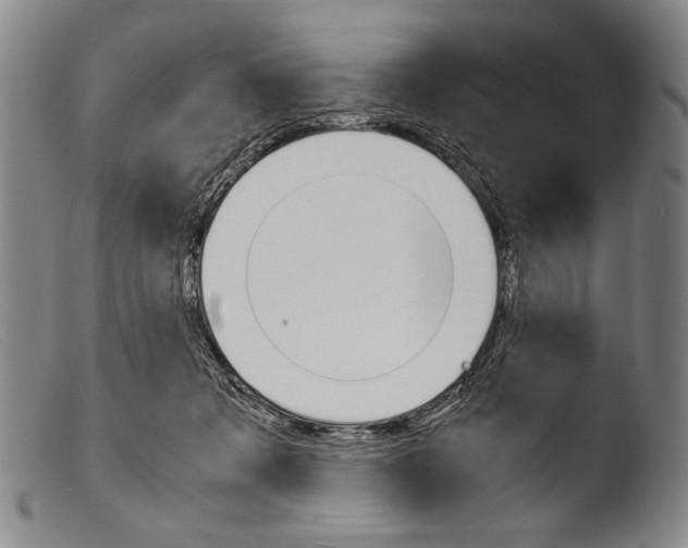 X0000103940317200810311531